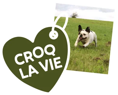 Bienvenu sur CROQ' la Vie